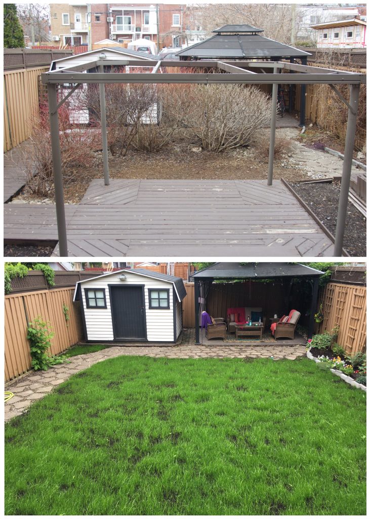 backyard DIY remodel renovation how to grow grass from seed new lawn before and after
