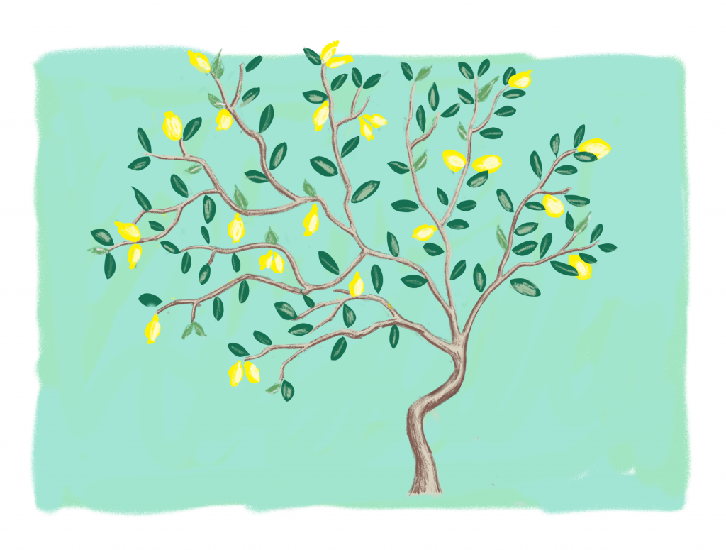 digital sketch DIY lemon tree statement mural accent wall Montreal lifestyle fashion beauty blog