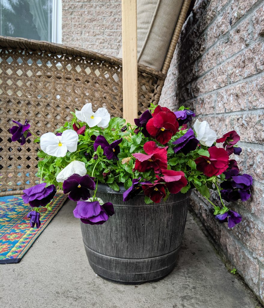 add flowers DIY string light concrete planter posts Montreal lifestyle beauty fashion blog
