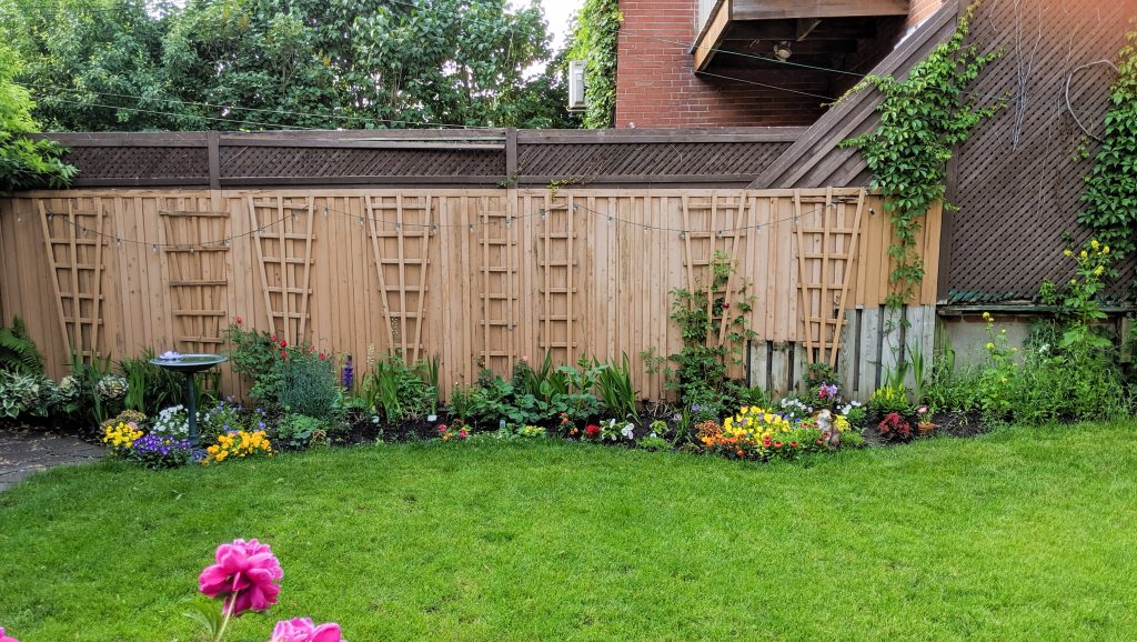 End of June 2019 border garden