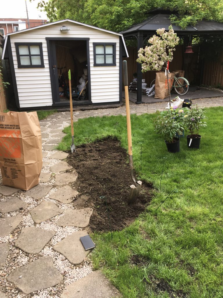 planting crab apple tree Malus Coralburst Montreal lifestyle blogger 2