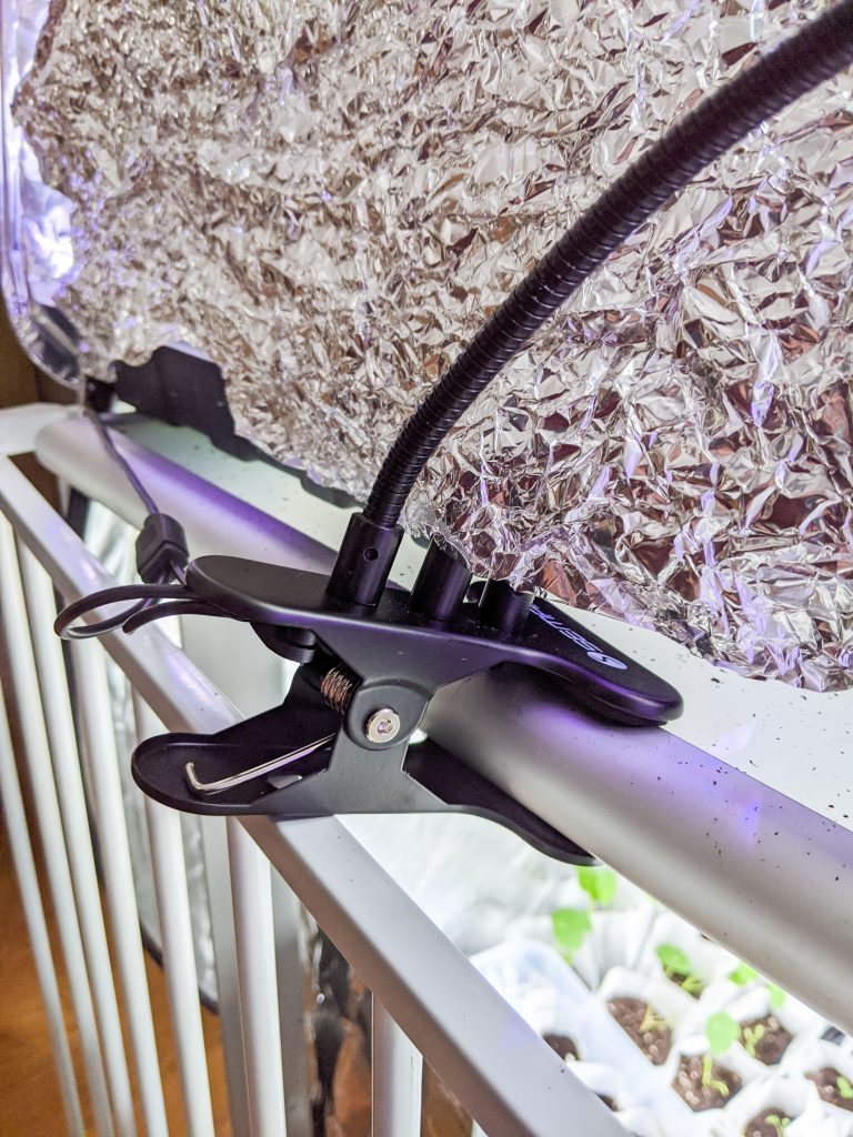 LED grow light clip sowing seeds indoors Montreal lifestyle fashion beauty blog