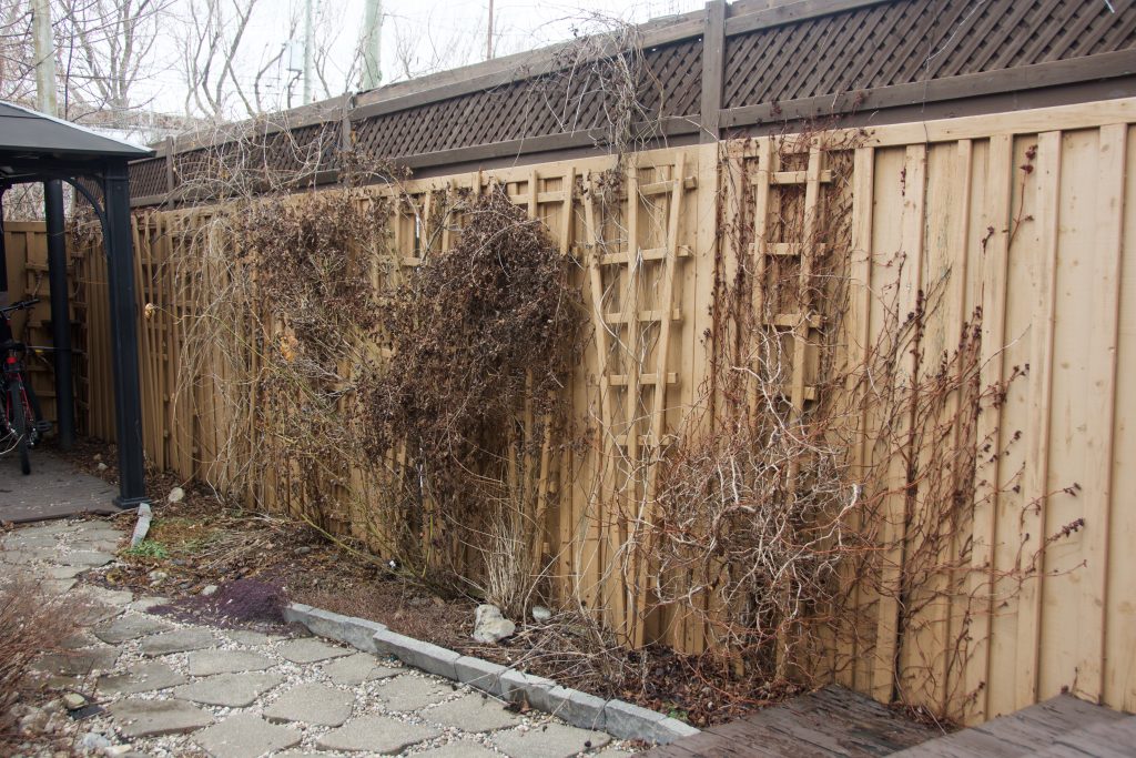 before backyard border garden transformation remodel Montreal lifestyle fashion beauty blog 2