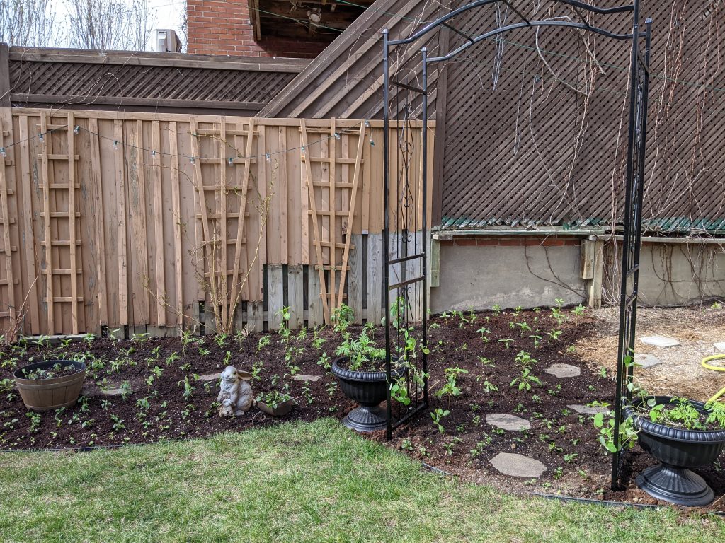 transplanting seedlings backyard border garden transformation remodel Montreal lifestyle fashion beauty blog 1