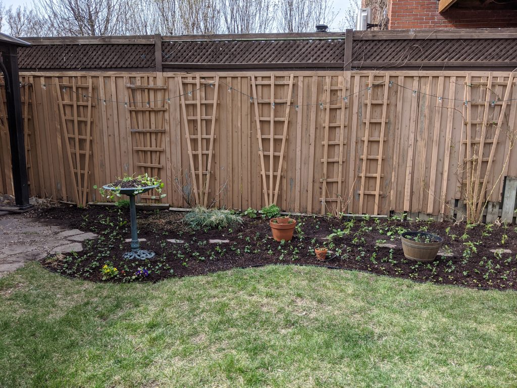 transplanting seedlings backyard border garden transformation remodel Montreal lifestyle fashion beauty blog 1