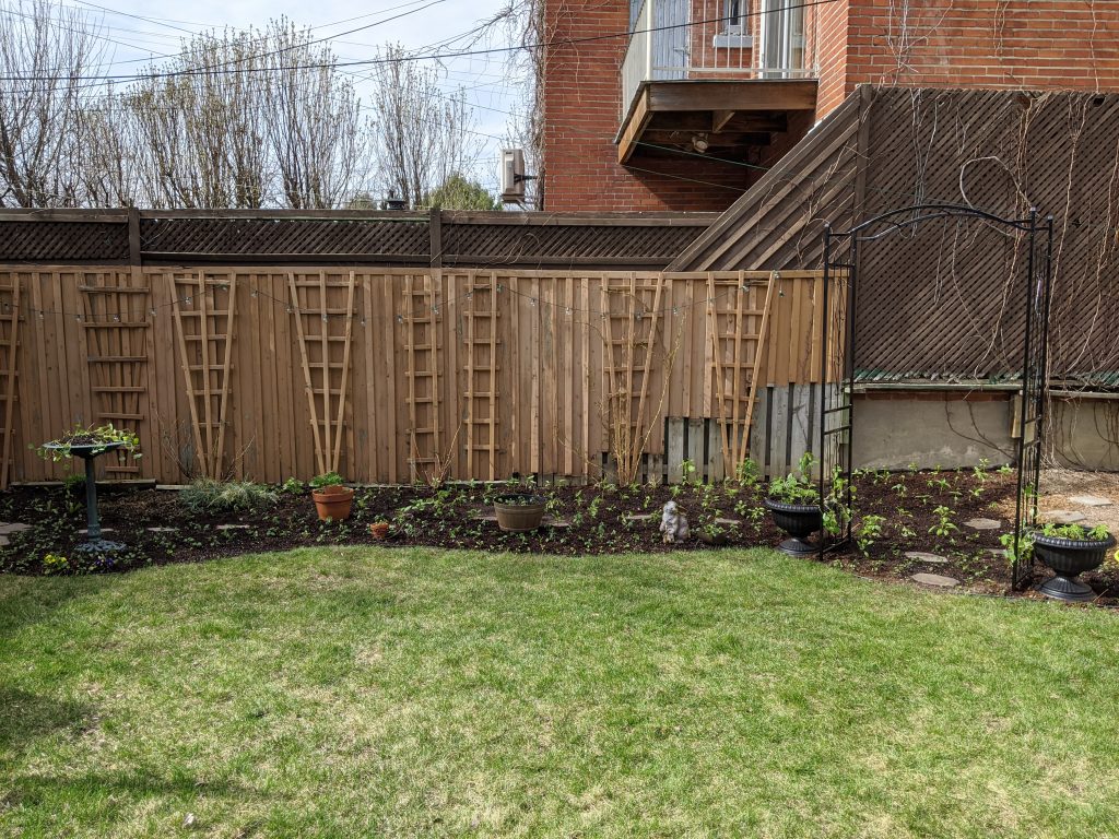 transplanting seedlings backyard border garden transformation remodel Montreal lifestyle fashion beauty blog 3