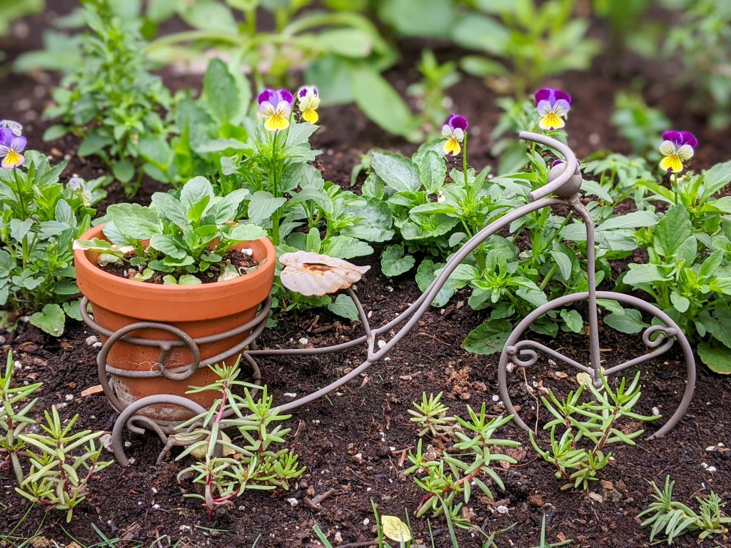 bicycle ornamental planter ideas Montreal lifestyle fashion beauty blog 2