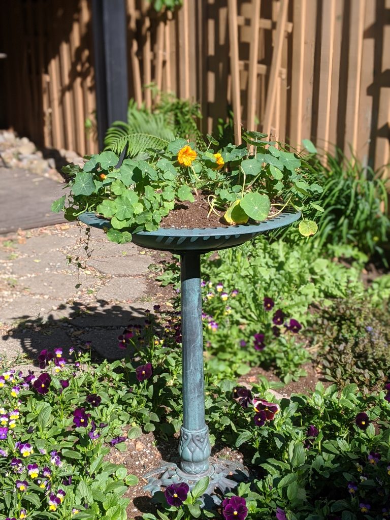 bird bath planter ideas Montreal lifestyle fashion beauty blog 2