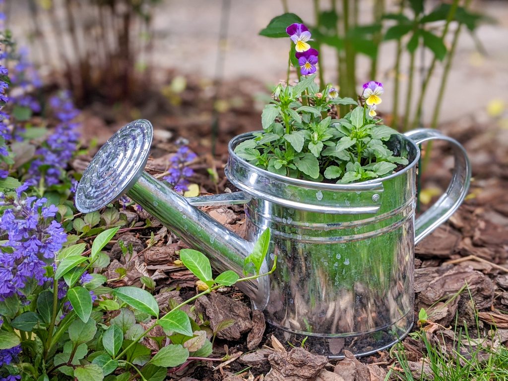 watering can planter ideas Montreal lifestyle fashion beauty blog 2