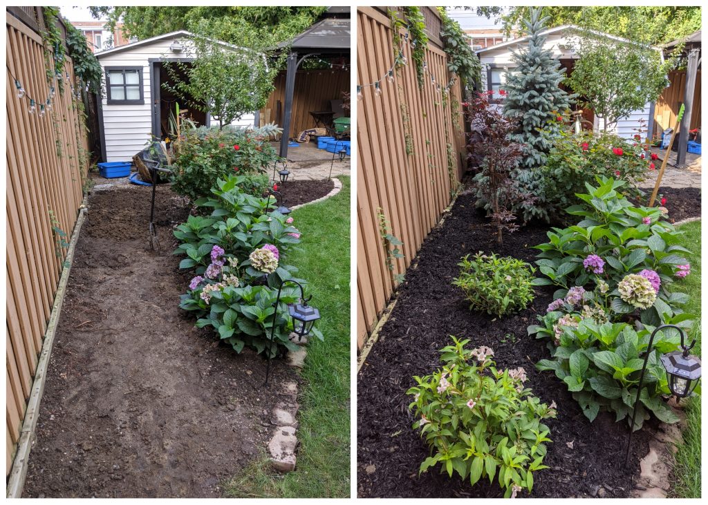 before and after planting trees and bushes backyard landscape garden makeover Montreal lifestyle fashion beauty blog