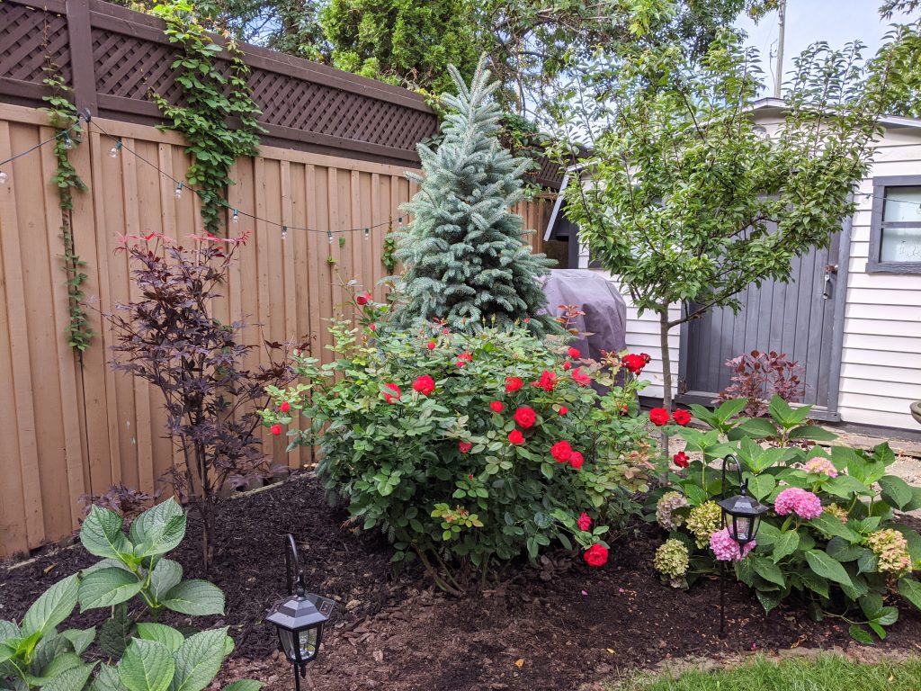 new-trees-backyard-landscaping-garden-makeover-Montreal-lifestyle-fashion-beauty-blog