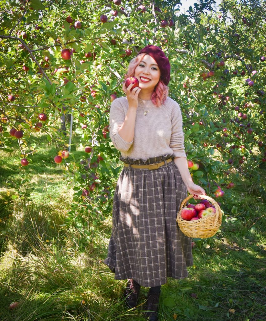 checkered skirt beret vintage retro fall fashion Quinn farm apple picking Montreal lifestyle fashion beauty blog 2