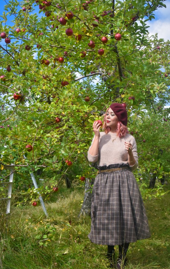 checkered skirt beret vintage retro fall fashion Quinn farm apple picking Montreal lifestyle fashion beauty blog