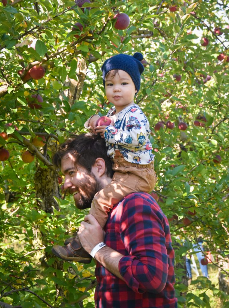 picking apples Quinn farm apple picking Montreal lifestyle fashion beauty blog