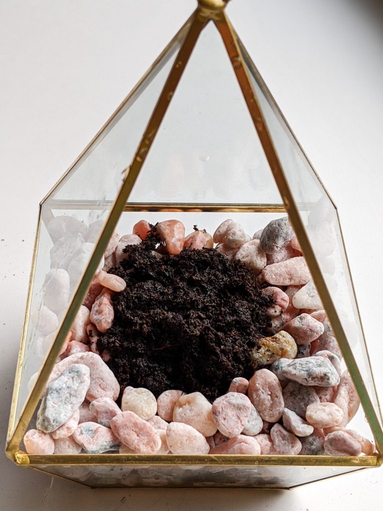 dirt in middle of terrarium Montreal lifestyle beauty fashion blog