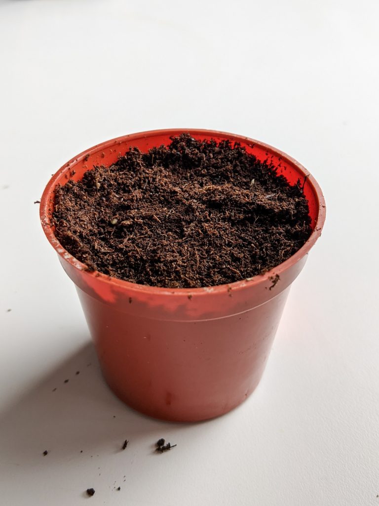 fill planter with soil terrarium Montreal lifestyle beauty fashion blog