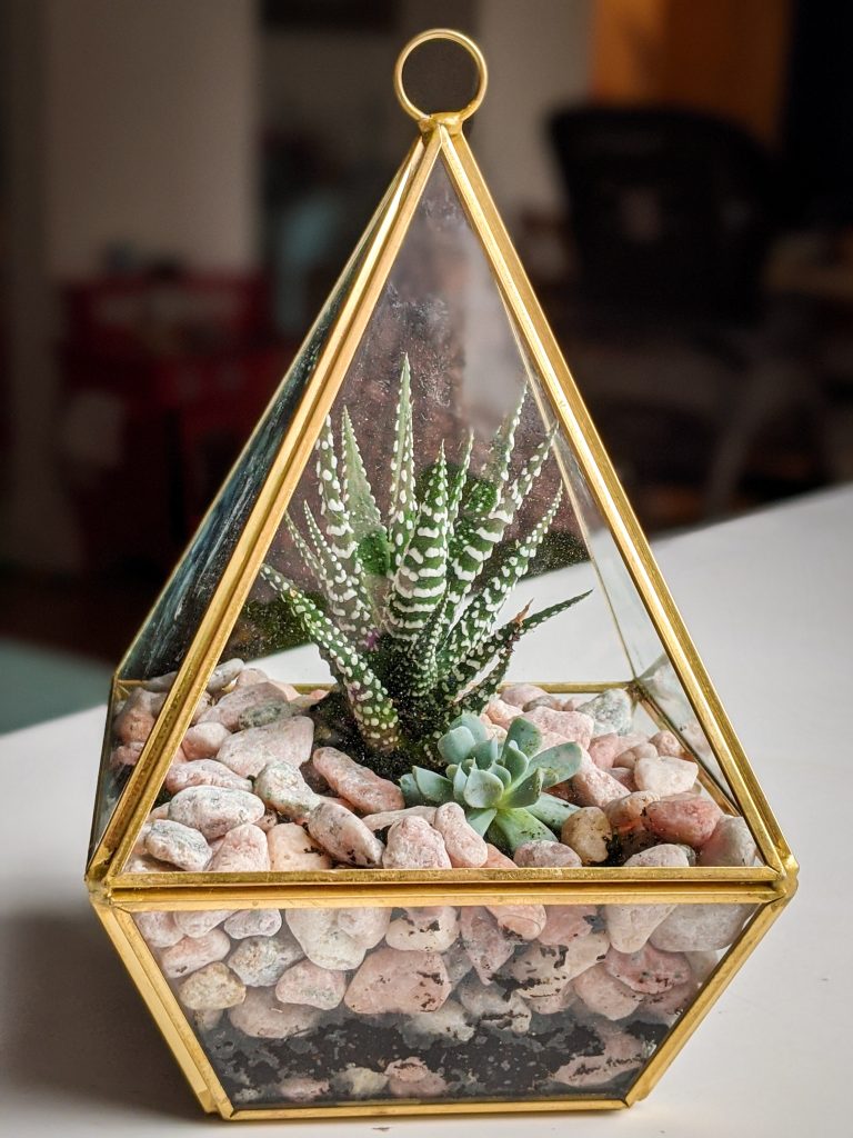 finished terrarium Montreal lifestyle beauty fashion blog 1