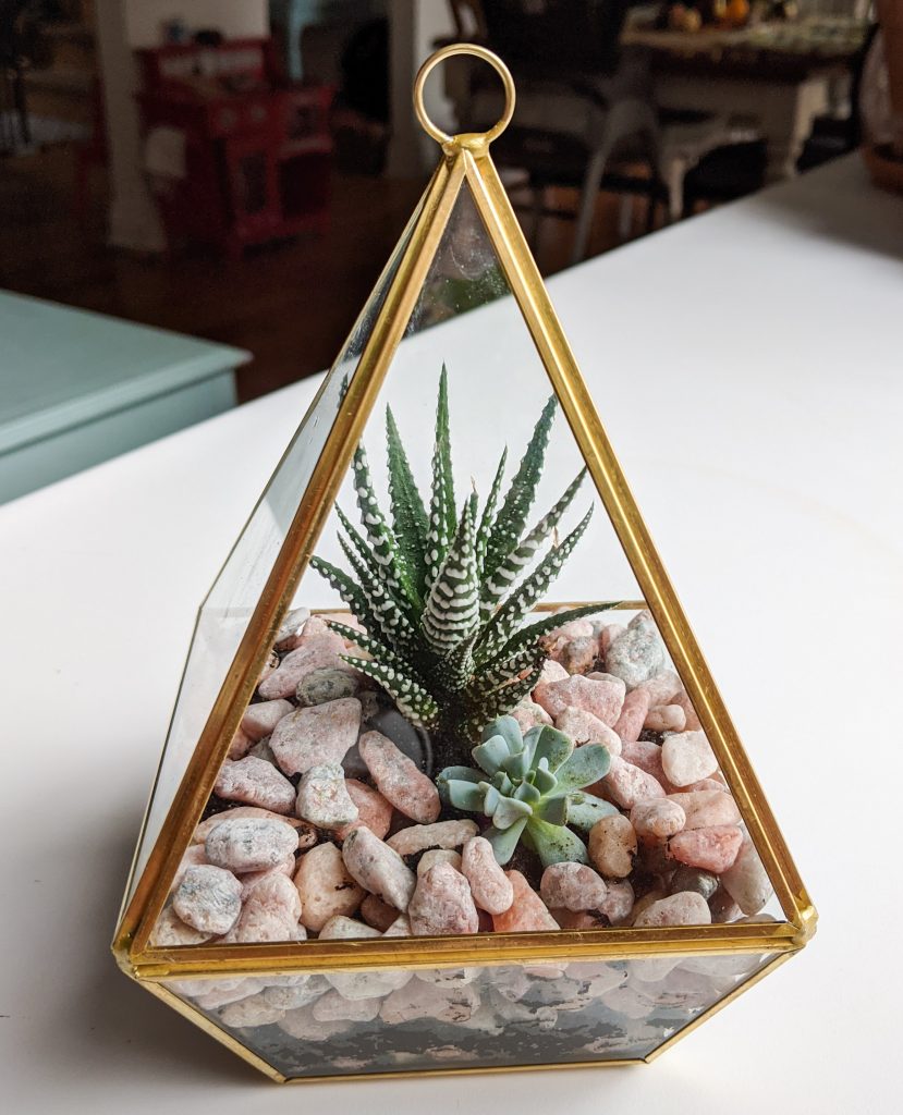 finished terrarium Montreal lifestyle beauty fashion blog 2