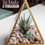 how not to make a terrarium Montreal lifestyle beauty fashion blog