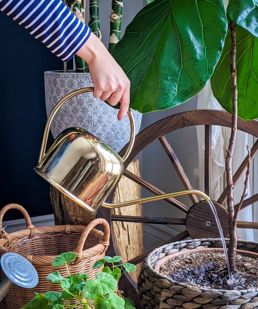 H&M gold watering can gardening gear favourites Montreal lifestyle fashion beauty blog 1