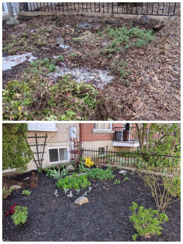 before and after DIY front yard garden landscaping Montreal lifestyle fashion beauty blog