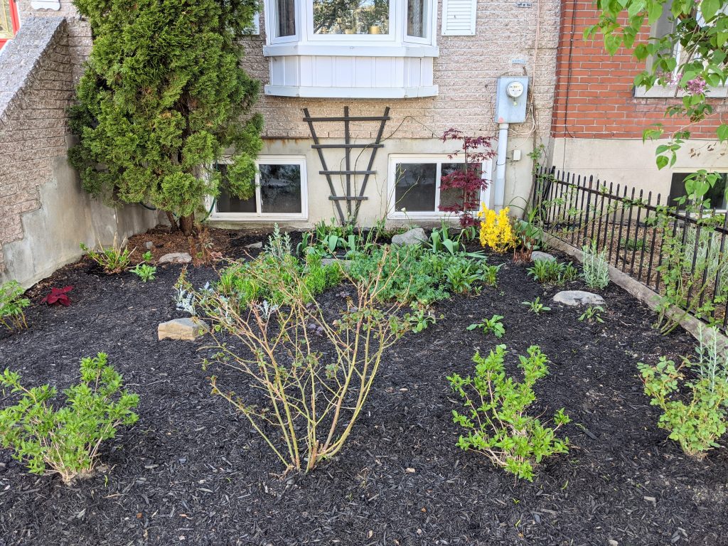 after DIY front yard garden landscaping Montreal lifestyle fashion beauty blog 1