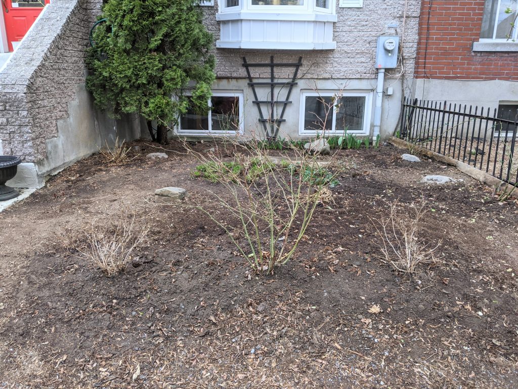 finished transplanting and cleaning bed DIY front yard landscaping makeover Montreal lifestyle fashion beauty blog