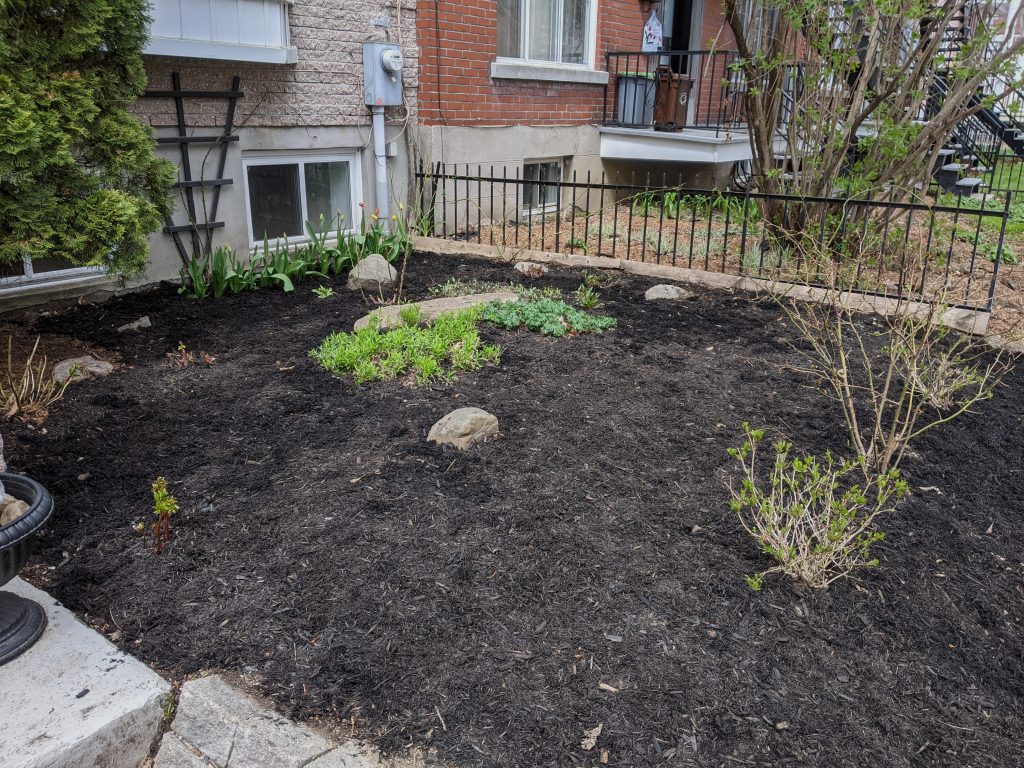 mulch DIY front yard landscaping Montreal lifestyle fashion beauty blog