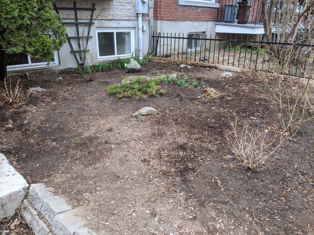 removed some landscape rocks DIY front yard landscaping makeover Montreal lifestyle fashion beauty blog