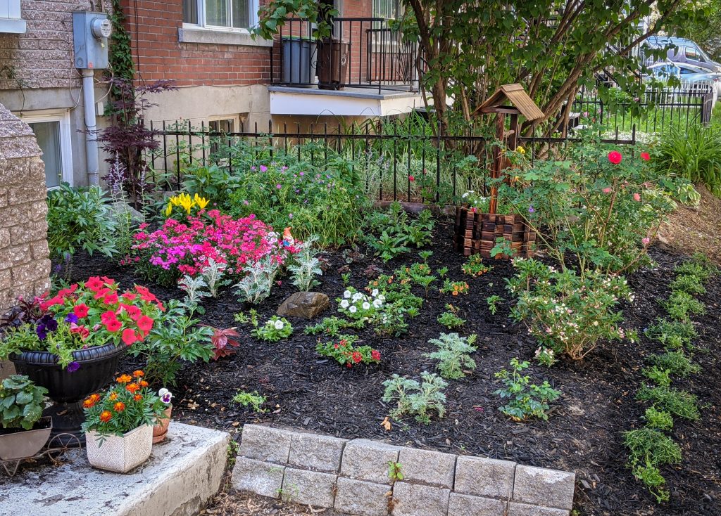 DIY front yard landscaping Montreal lifestyle fashion beauty blog 1