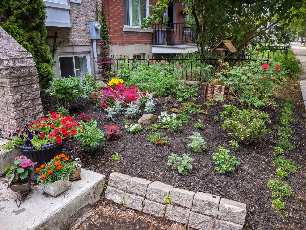 DIY front yard landscaping Montreal lifestyle fashion beauty blog 2