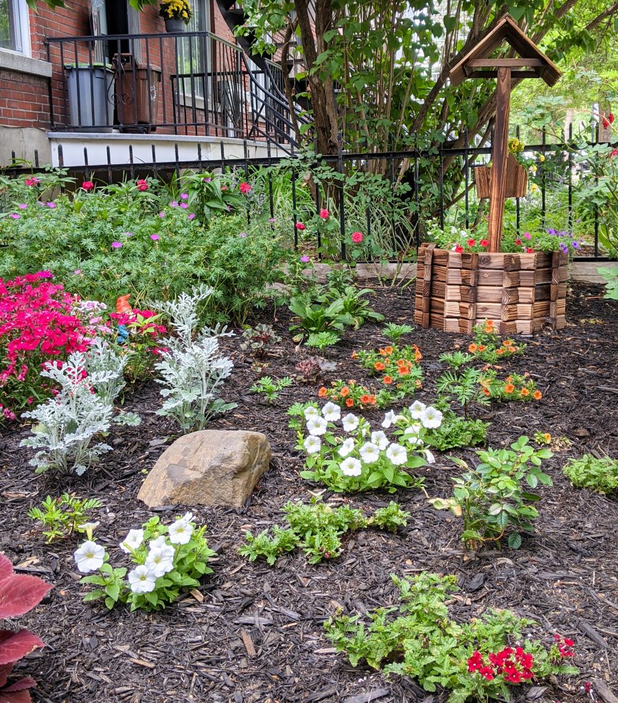 Lanai Red Verbena Shock Wave Volt Mix Petunia Pumpkin Spice Calibrachoa Dusty Miller OSO Easy Italian Ice Rose DIY front yard landscaping Montreal lifestyle fashion beauty blog