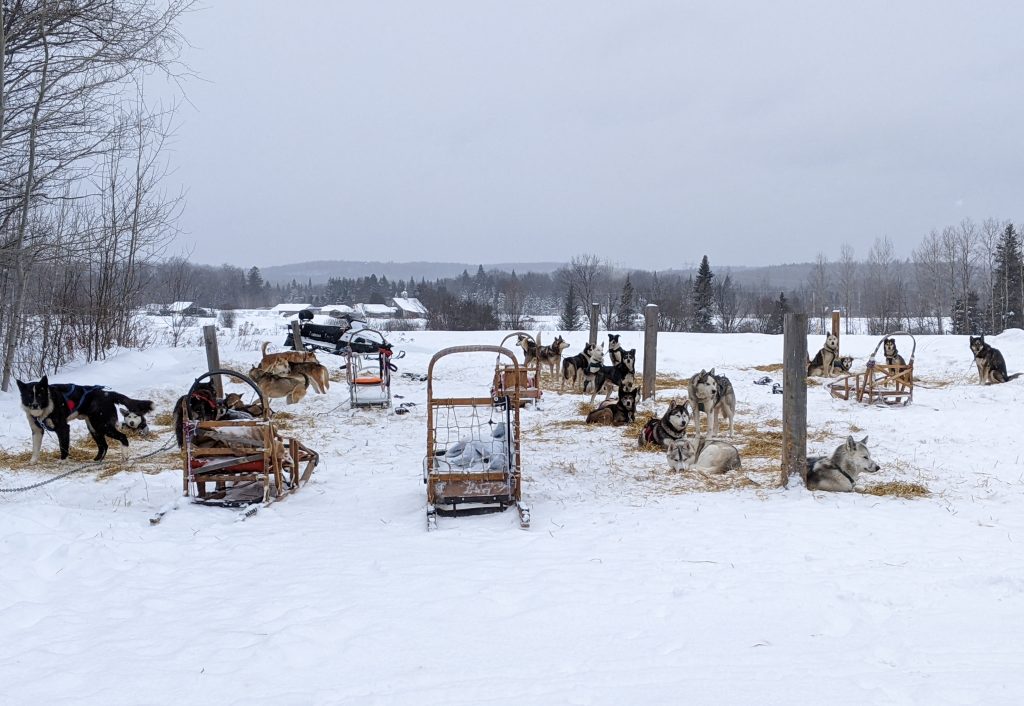 dog sledding Le Baluchon winter vacation Montreal fashion beauty lifestyle blog 1