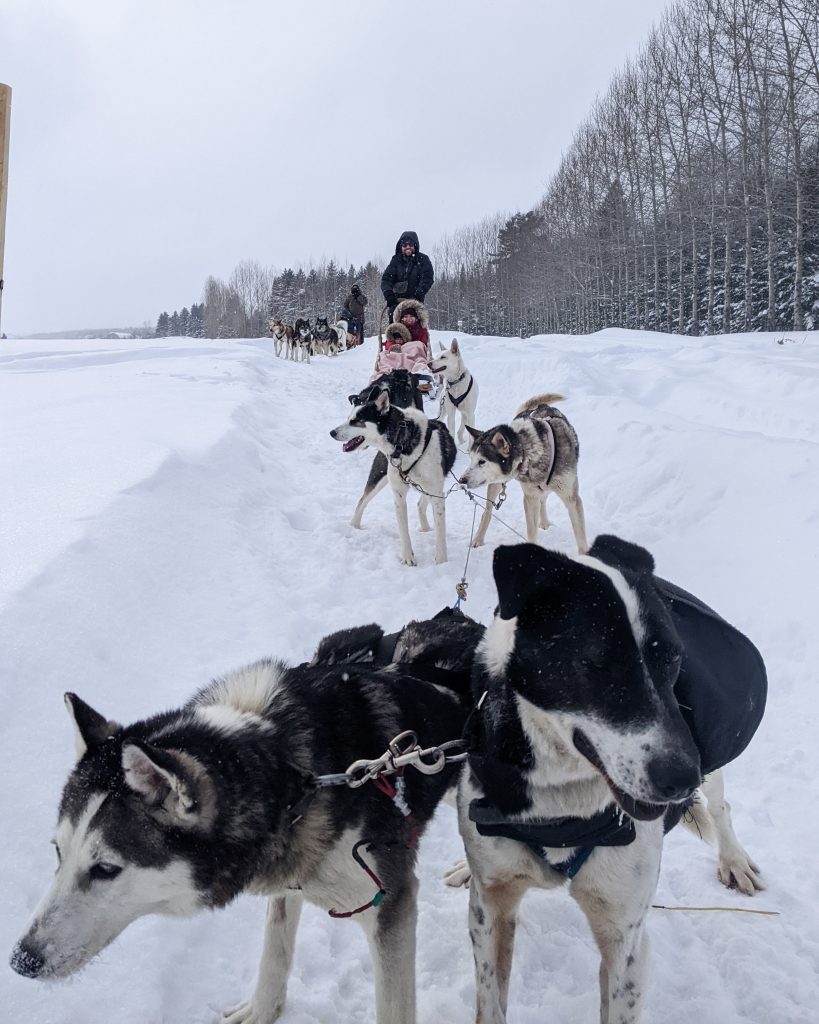 dog sledding Le Baluchon winter vacation Montreal fashion beauty lifestyle blog 3