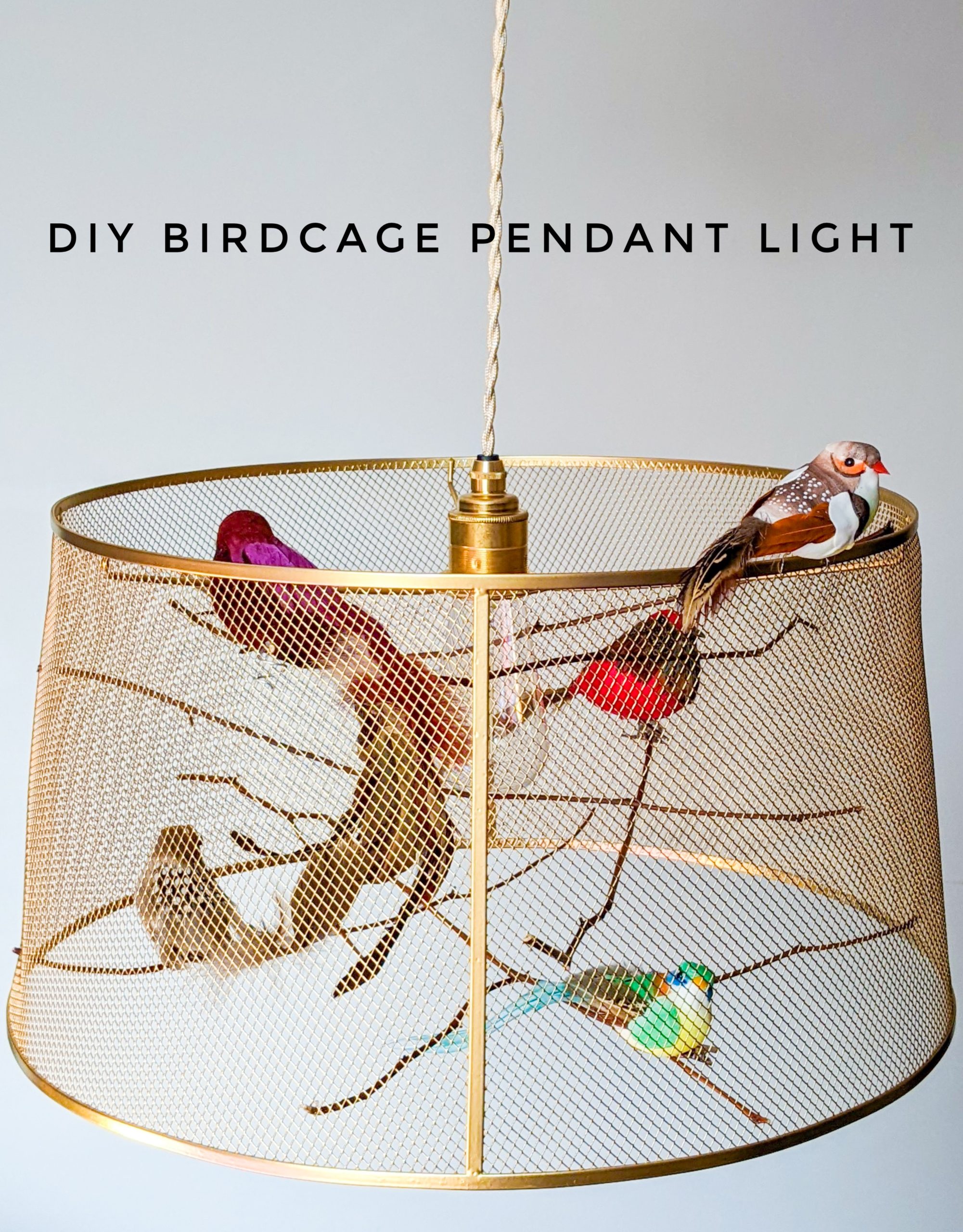 Diy Birdcage Pendant Light Eclectic Spark