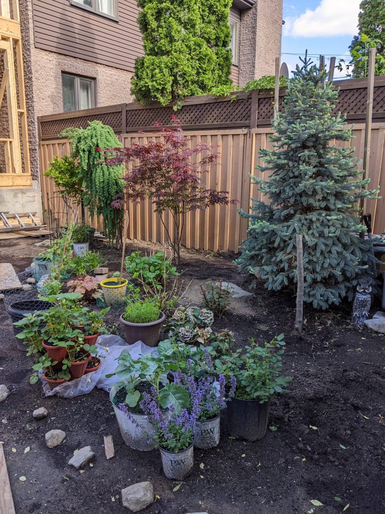 backyard gardening during construction Montreal lifestyle fashion beauty blog 4