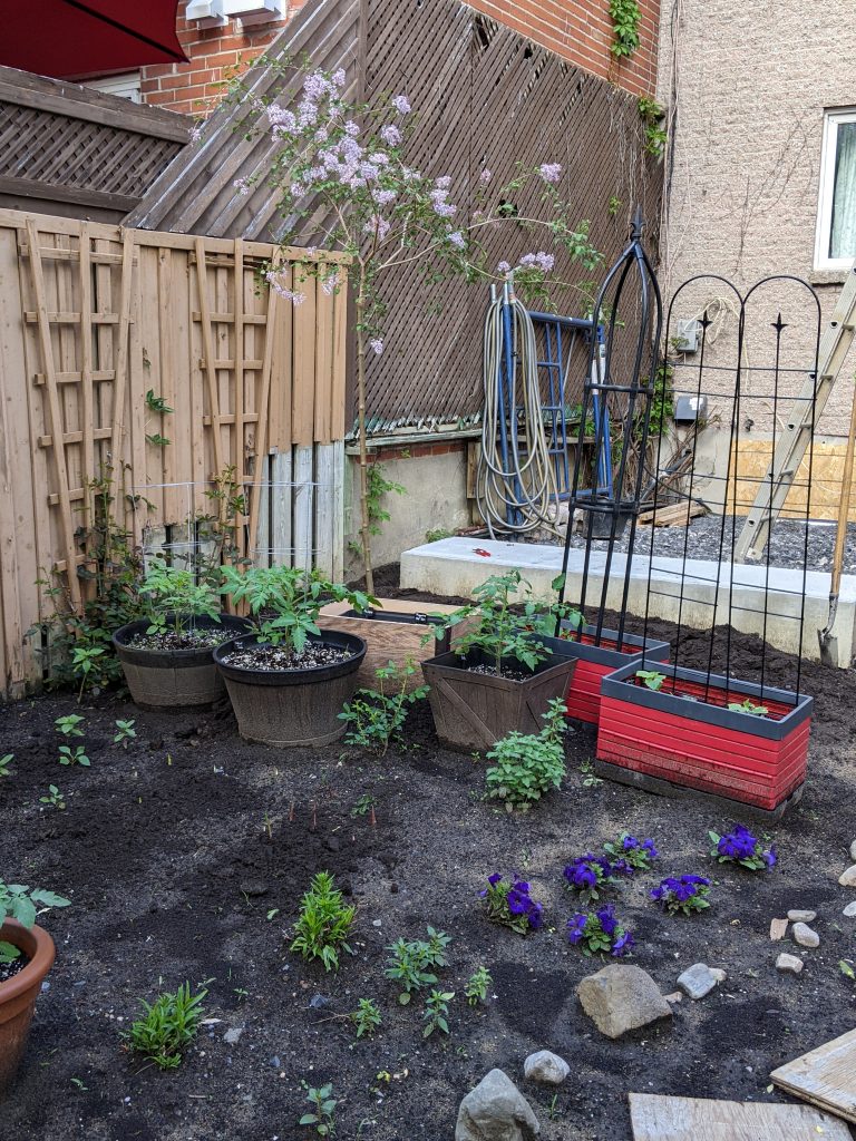backyard gardening during construction Montreal lifestyle fashion beauty blog 2