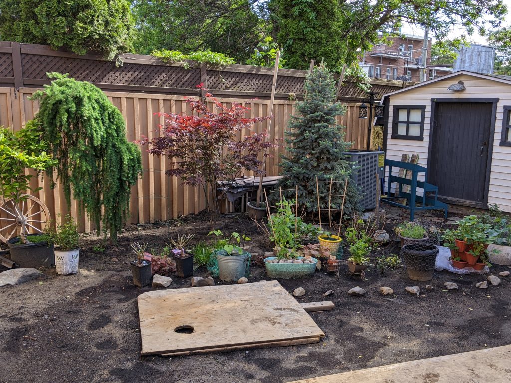 backyard gardening during construction Montreal lifestyle fashion beauty blog 1