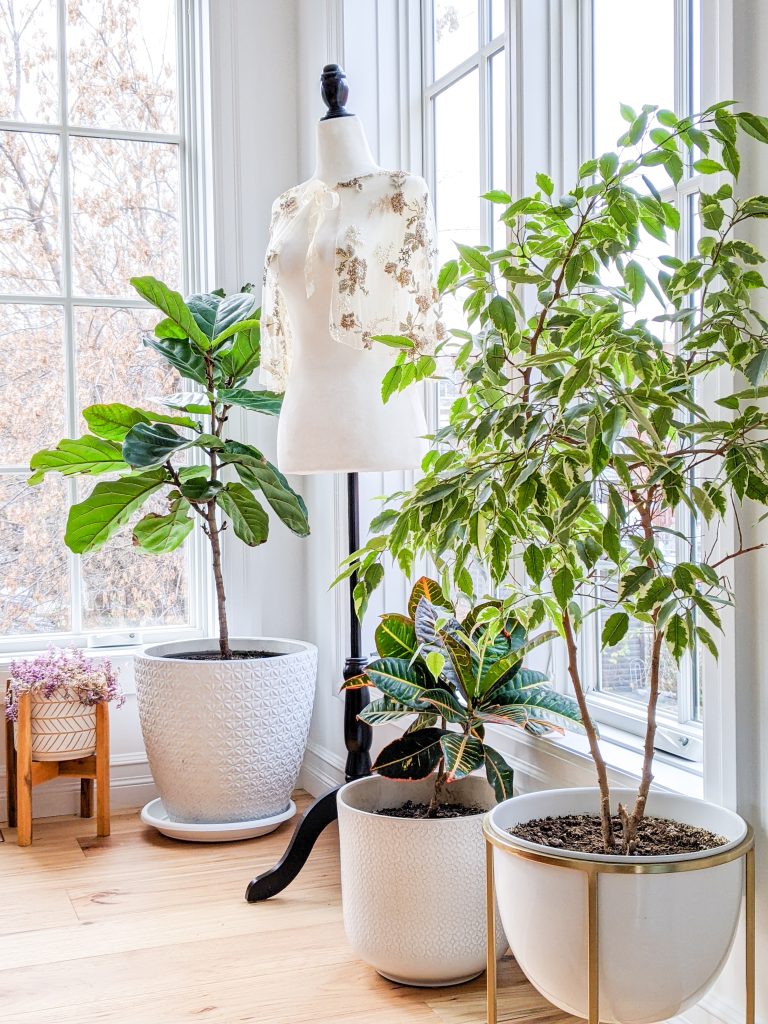 plants dress form sunroom office Montreal lifestyle fashion beauty blog