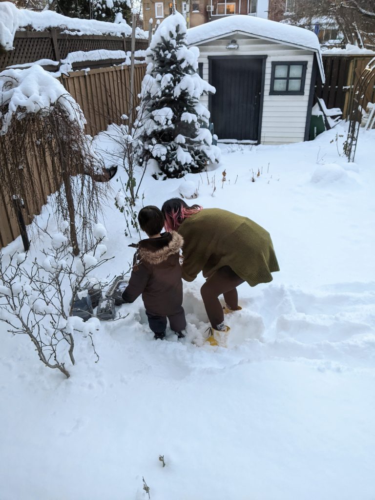 put containers in protected area winter sowing Montreal lifestyle fashion beauty blog