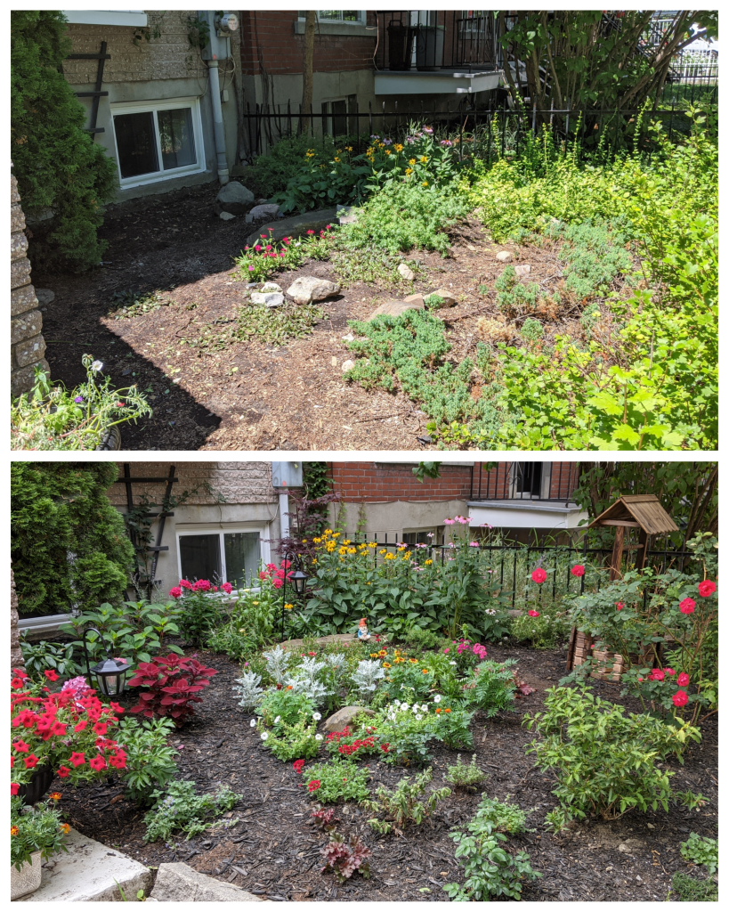 front garden makeover before and after 2