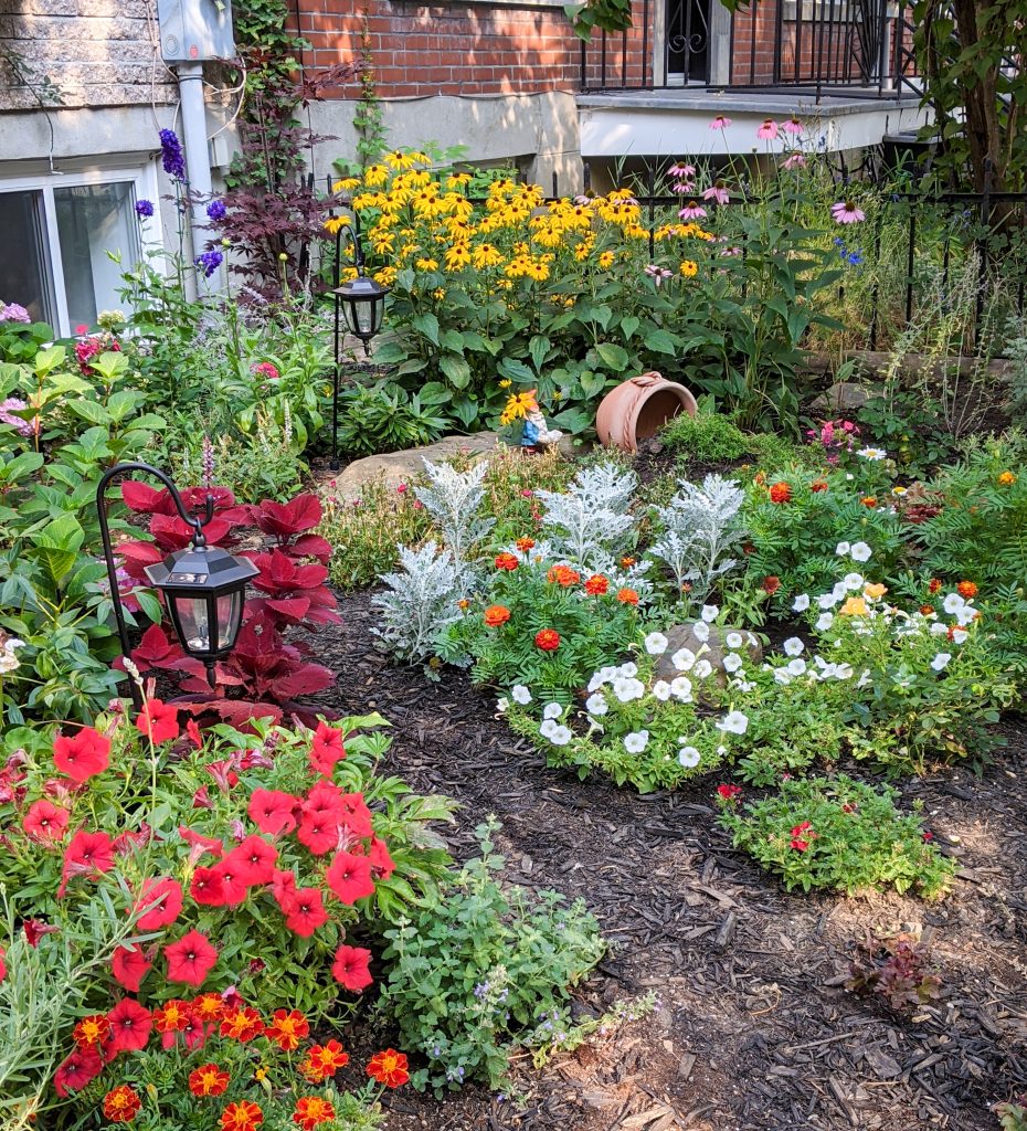front yard garden after DIY landscape gardening Montreal lifestyle beauty fashion blog 1