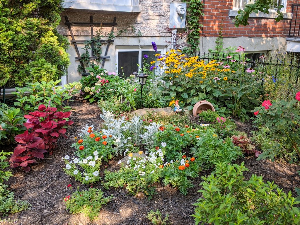 front yard garden after DIY landscape gardening Montreal lifestyle beauty fashion blog 2 (1)