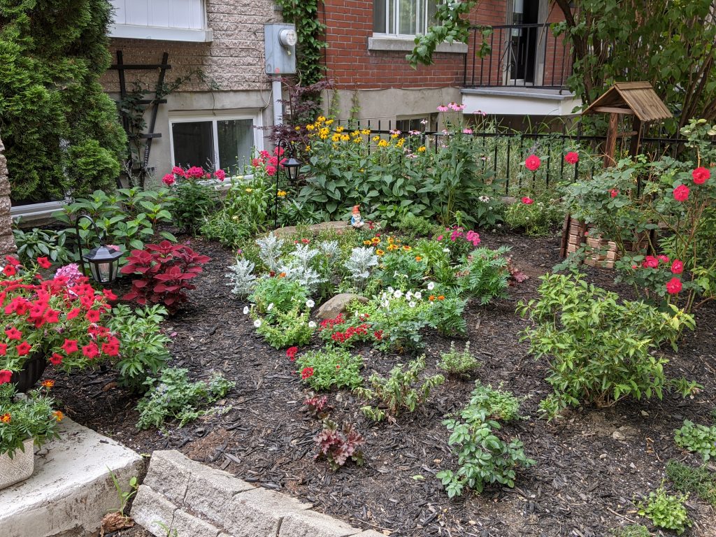 front yard garden after DIY landscape gardening Montreal lifestyle beauty fashion blog 2