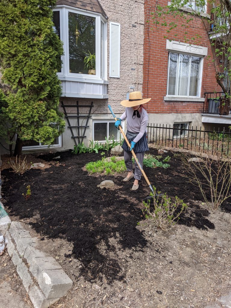 front yard garden cleanup DIY landscape gardening Montreal lifestyle beauty fashion blog 3
