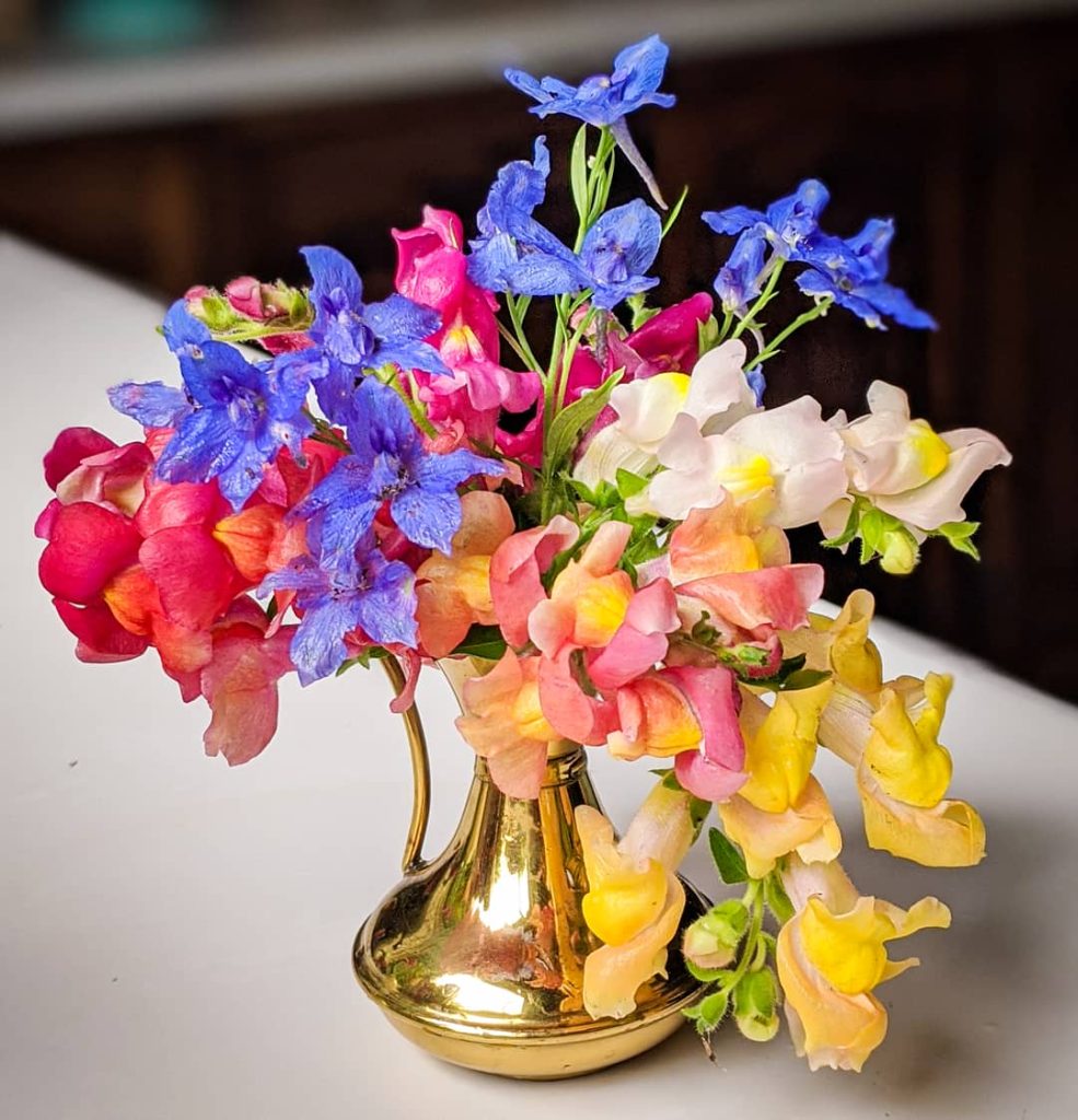 delphiniums snapdragons DIY amateur floristry Montreal florist