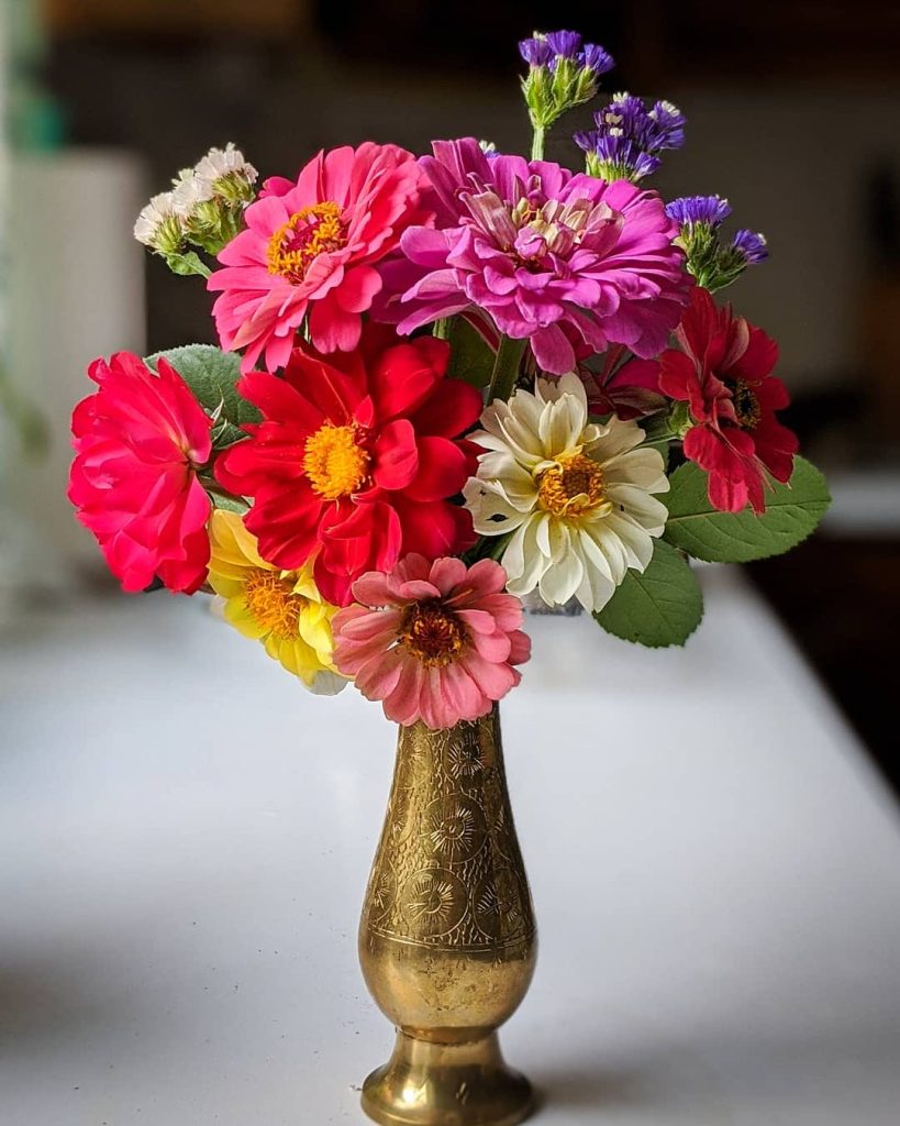 zinnias statice DIY amateur floristry Montreal florist