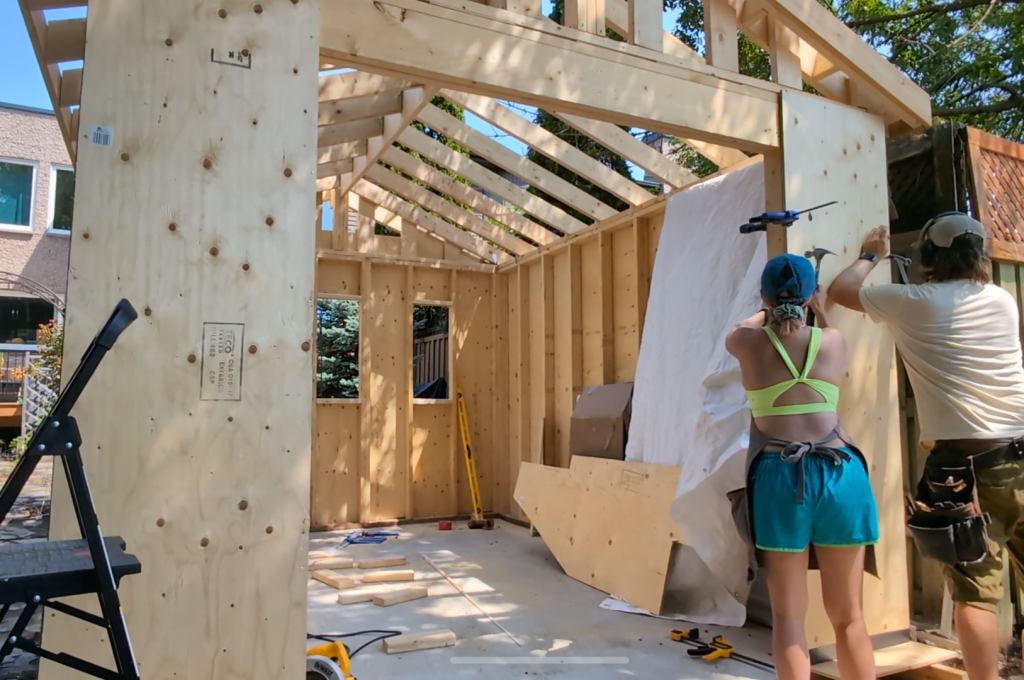 adding plywood DIY shed remodel