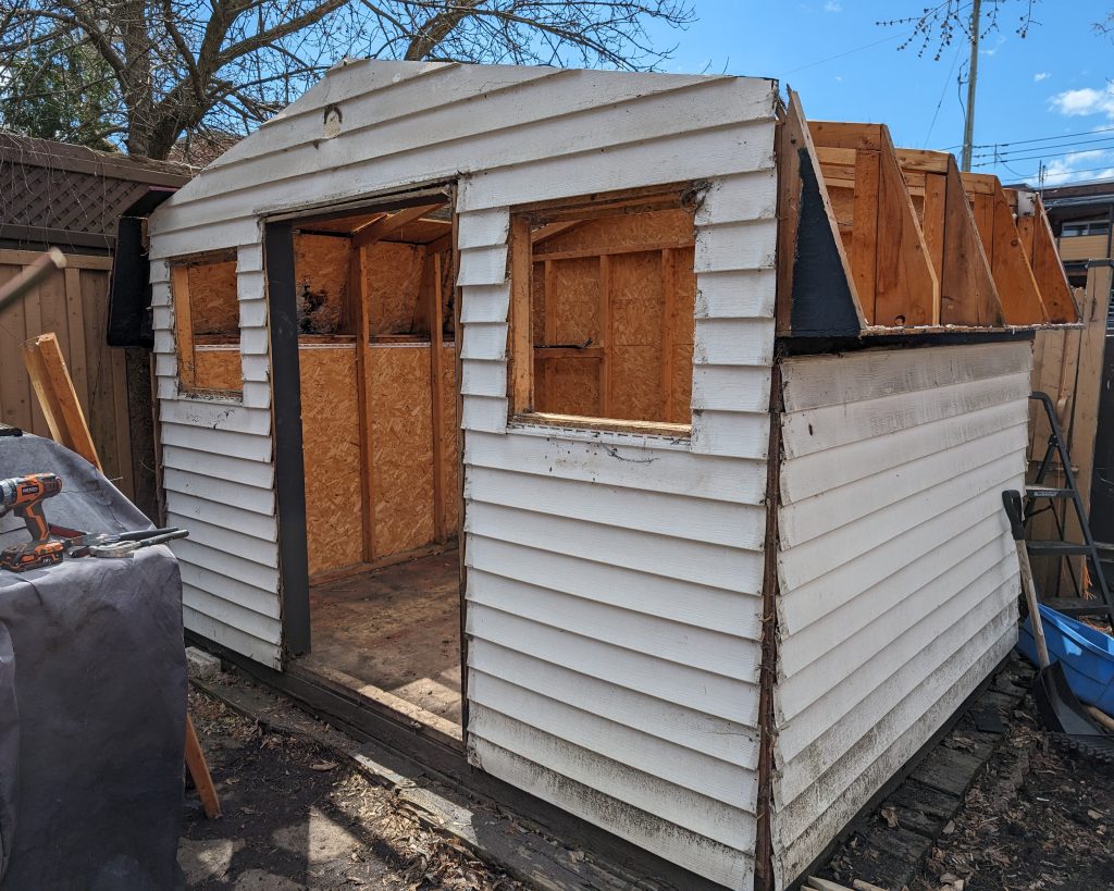 removing roof DIY shed remodel