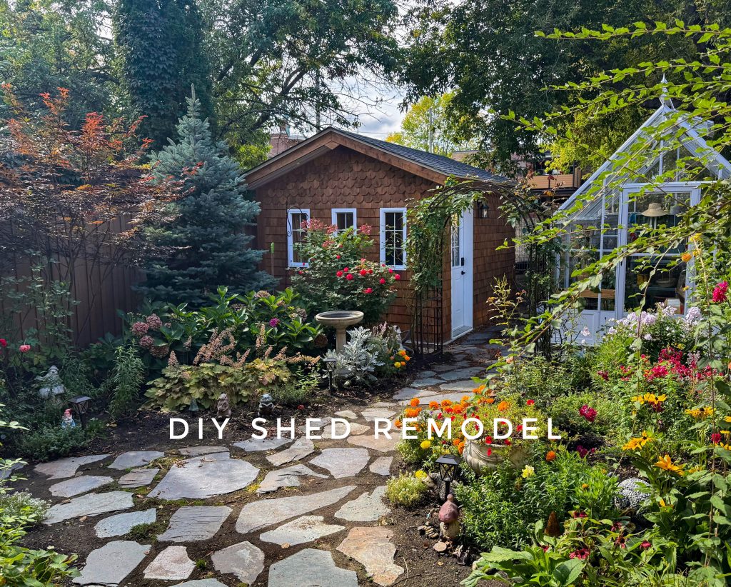 DIY shed remodel